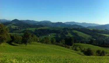 Hügellandschaft in Niederösterreich (1)